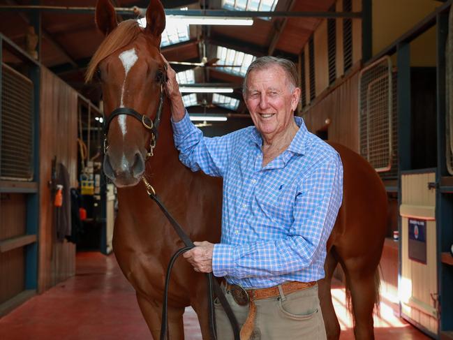 John Singleton with yearling by Snitzel out of Morejoyous at his Strawberry Hill Stud at Mount White. Picture: Justin Lloyd