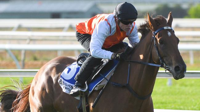 Melbourne Cup winner Vow And Declare impressed in a trial at Cranbourne on Tuesday. Picture: AAP