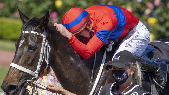 Verry Elleegant is hugged by James McDonald after winning the Melbourne Cup. Picture: Racing Photos via Getty Images