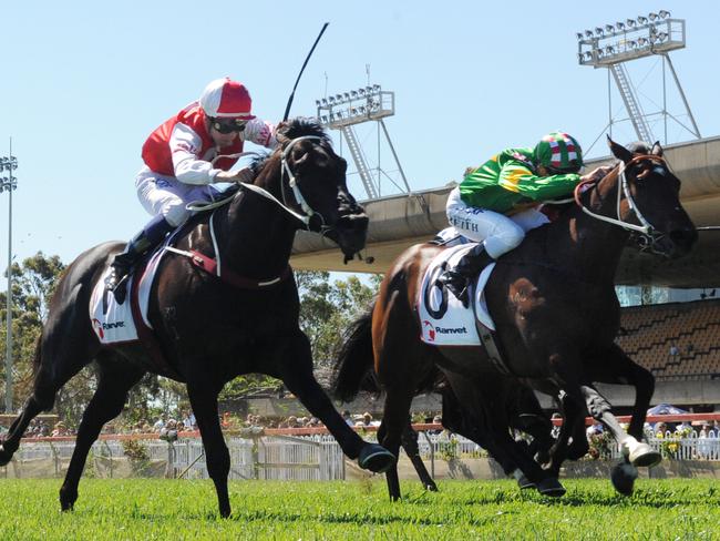 Race 4 - 2:30PM TAB HIGHWAY HANDICAP (1550 METRES).Winner 'Sunny Fame' ridden by Josh Parr.