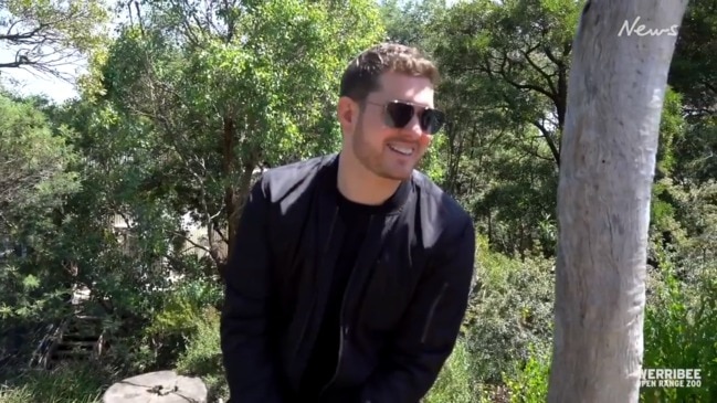 Michael Buble sings to gorillas