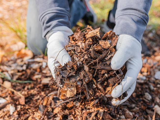 Don’t forget to mulch.