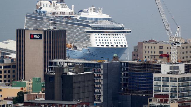 Should tourists such as those visiting on cruise ships be made to pay a levy? Picture: SAM ROSEWARNE.