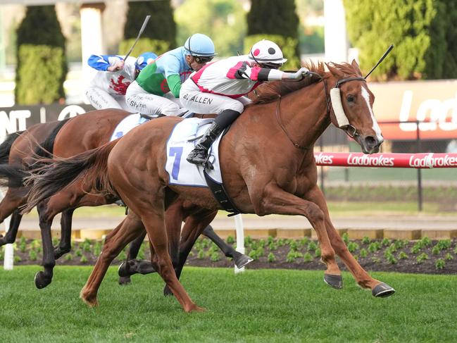 Pinstriped wins the Feehan Stakes at Moonee Valley in 2023. Picture: Scott Barbour-Racing Photos)