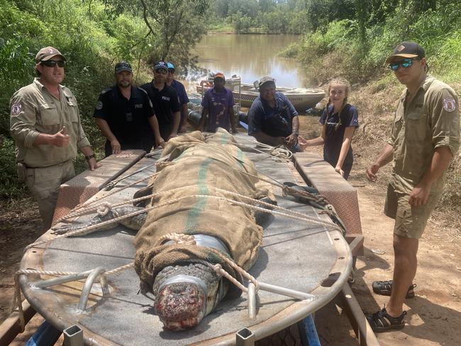 The 4.5m croc caught in the Daly River by a team of rangers and police on Saturday. Picture: Supplied