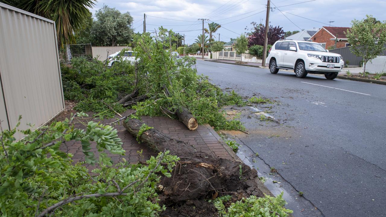 Trees have been downed across Adelaide, causing serious power dramas. Picture Mark Brake