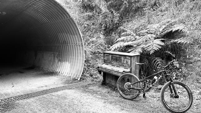 The piano on the Warburton Trail. Picture: Lilydale Township Action Group