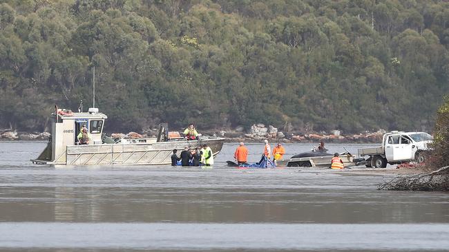 Rescuers managed to free 32 whales yesterday through tireless efforts. Picture: Nikki Davis-Jones