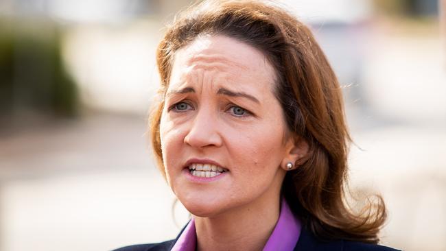 The Liberal candidate for Mayo, Georgina Downer. Picture: James Elsby.