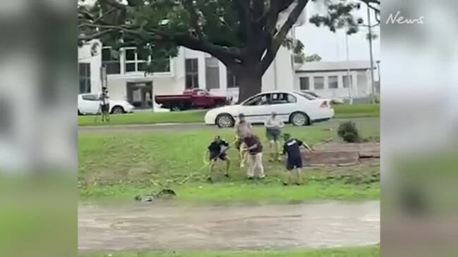 Croc captured in Ingham