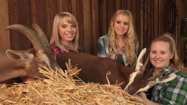 2013 Blacktown Showgirl entrants Caitlin Brigden, Maddison Parker and Jasmine Atkiss.