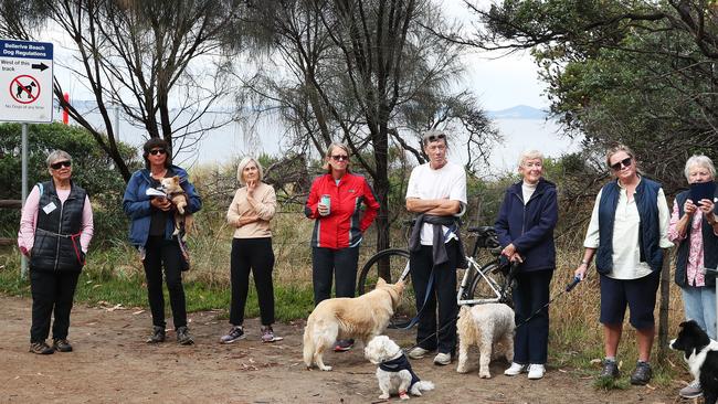 Dog owners at Bellerive Beach are unhappy about a move to reduce off-leash areas in Clarence. Picture: Nikki Davis-Jones