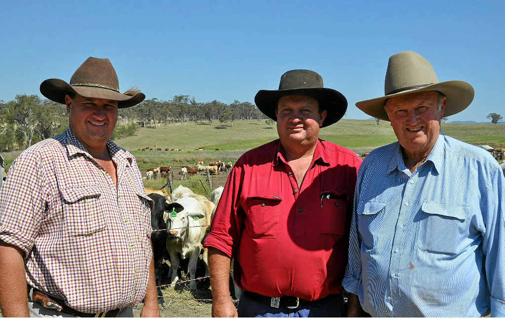 Family of farmers building an empire for future | The Courier Mail