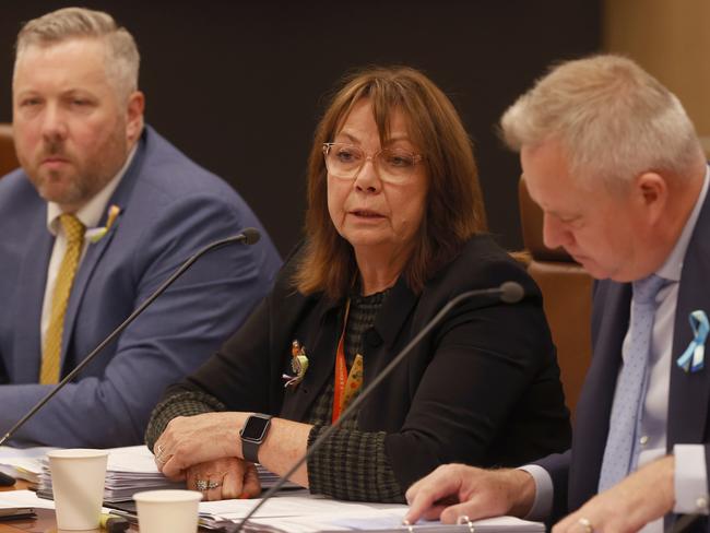 Jenny Gale Secretary Department of Premier and Cabinet. Commission of Inquiry committee with Premier Jeremy Rockliff. Picture: Nikki Davis-Jones