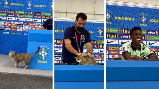 Cat interrupts Brazil press conference
