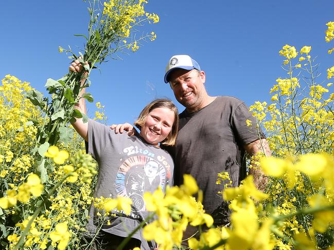 Scott Arnold with his daughter Sadie, 9, with canola crop, Rupanyup,   Picture Yuri Kouzmin