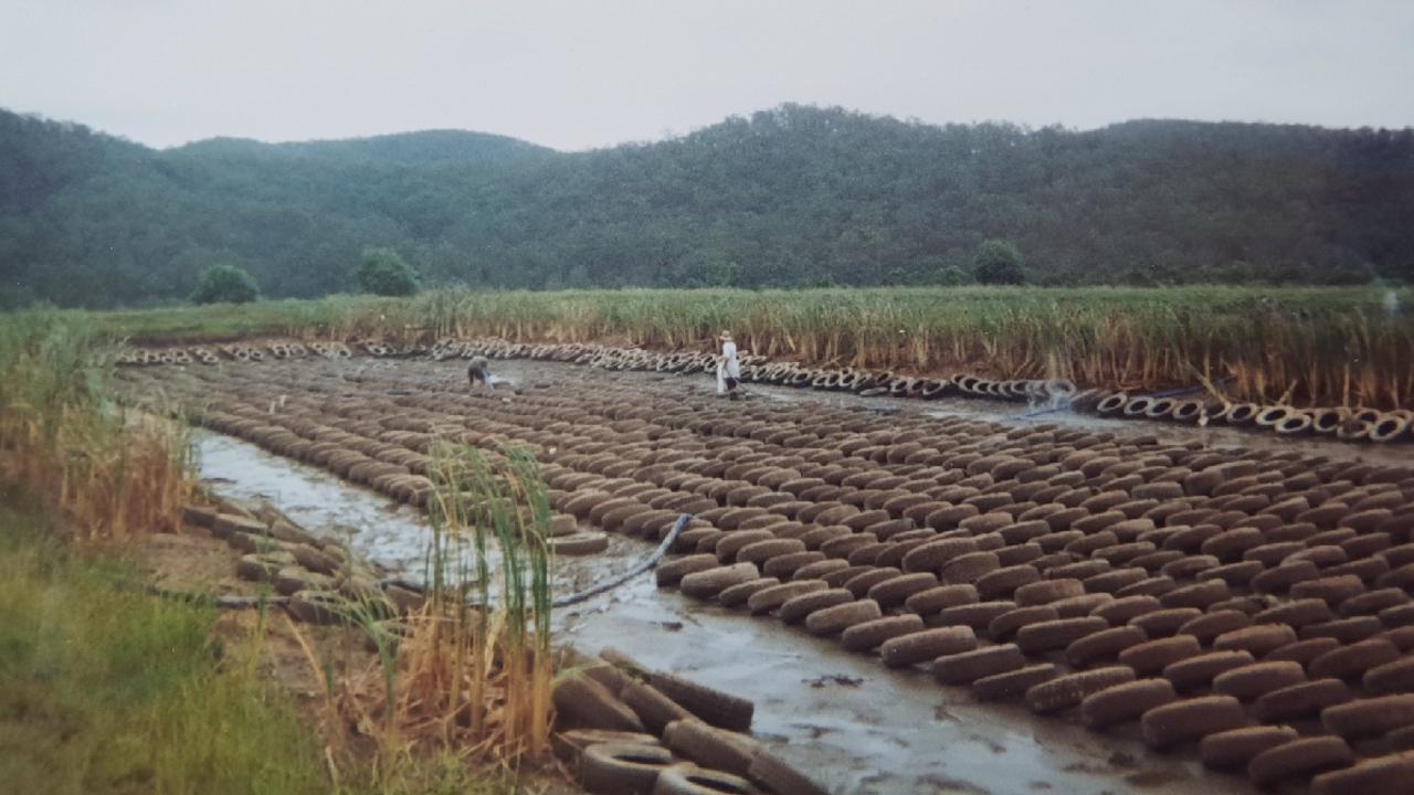 The Beenleigh Crayfish Farm, where Jeffrey Brooks worked and died.