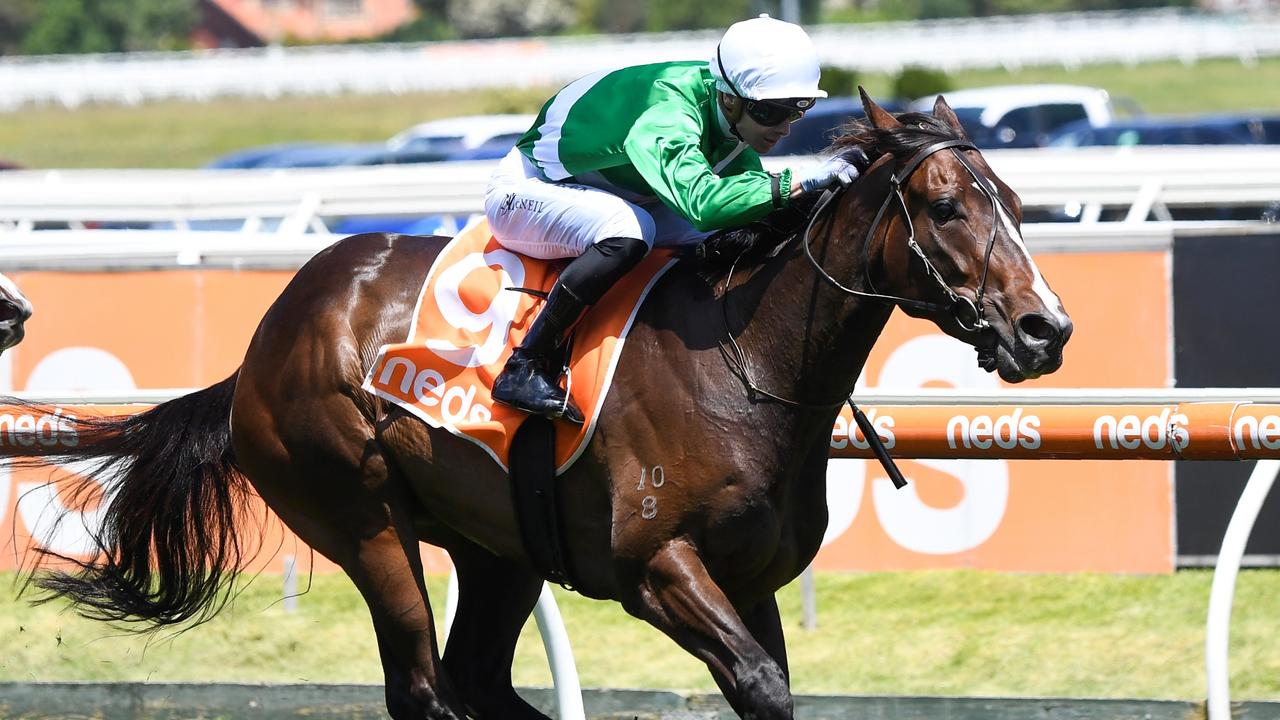 Premier Signs Doveton Stakes