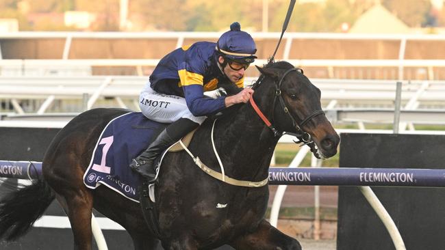 Jamie Mott has ridden Munhamek in two of his past three wins, including the Winter Championship Series Final at Flemington. Picture: Vince Caligiuri/Getty Images