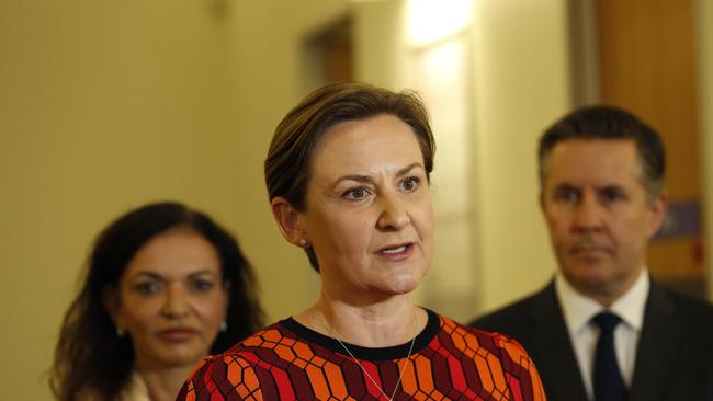 Health Minister Amber-Jade Sanderson said she pulled out of the leadership contest in the ‘interest of unity and stability’. Picture: NCA NewsWire /Philip Gostelow