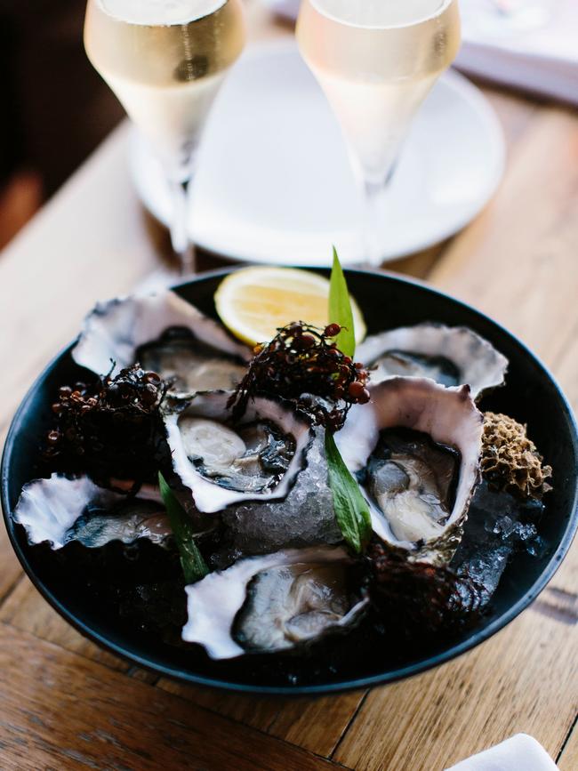 Fresh, wild-caught oysters at Devonport restaurant Mrs Jones. Picture: S Group