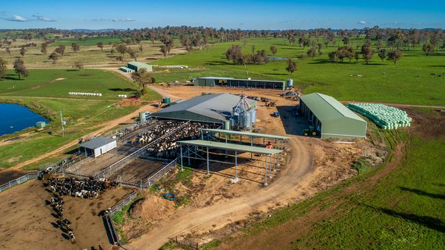 Walcha Dairy can milk 1000 cows and supplies fresh milk to Brisbane and Sydney.