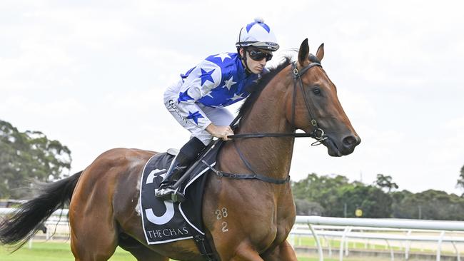 King Of Pop surged into the Golden Slipper frame following his Black Opal win on Sunday. Picture: Bradley Photos