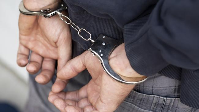 A driver allegedly attempted to hit a a couple while they walked their dog in Sydney’s south.