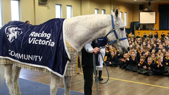 1992 Melbourne Cup winner Subzero has been a regular at primary schools. Picture: Ian Currie