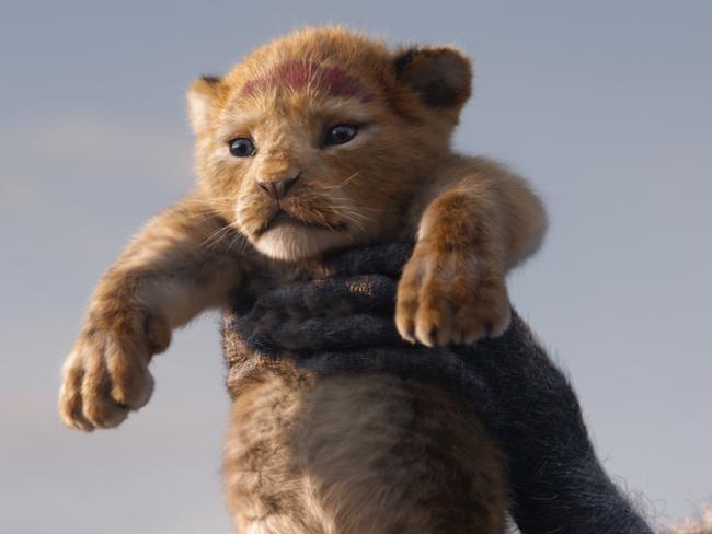 A scene from The Lion King.