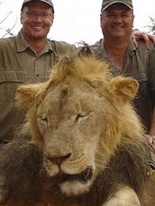 The death of Cecil the lion at the hands of American dentist Walter Palmer has prompted an outpouring of grief and rage around the world.