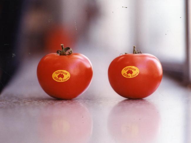 Tomatoes with Tobalong and Scalzi Exports sticker. Undated, 1990s. (Pic by unidentified staff photographer)