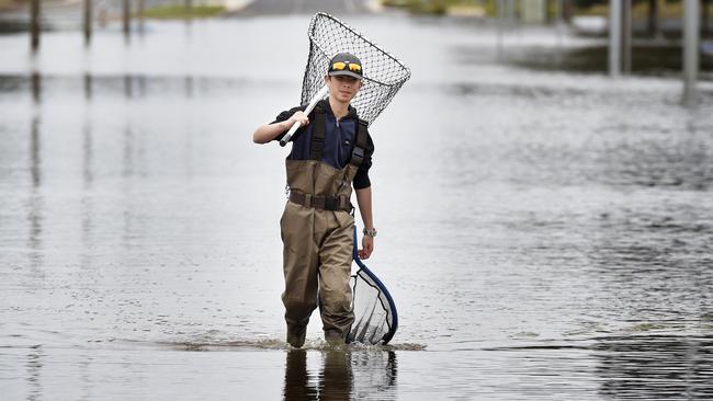 Alex Wang, 13, tries to net some fish on the submerged Wyndham Street in Shepparton. Picture: Andrew Henshaw