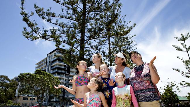 Gold Coast City Council is trying to save money by not putting up Christmas decorations across the Gold Coast Less than impressed are Isobel Brixey, Alyssa Brixey, Ranona Brixey, Emily Oliver, Kayla Oliver, Michelle Brixey, and Christina Oliver are upset that there is no Christmas tree at Harley Park, Labrador. Photo: Jerad Williams