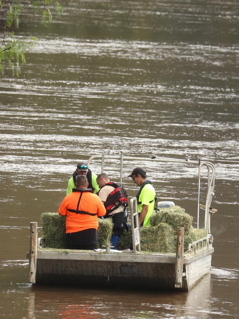 Food is delivered to stranded residents via boat. Picture: John Grainger