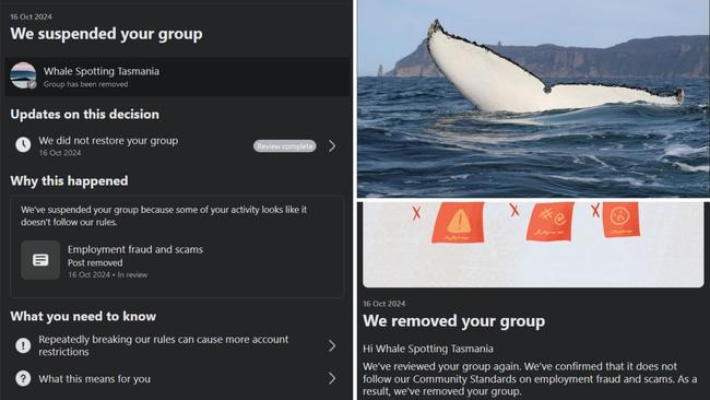 Whale Spotting Tasmania Facebook group mysteriously banned