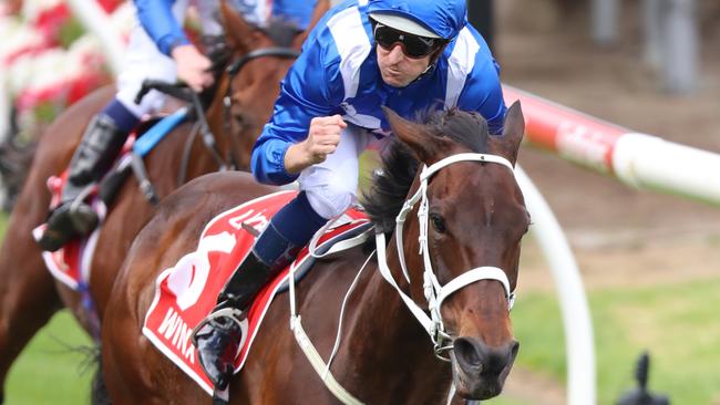 Hugh Bowman celebrates after Winx wins her fourth Cox Plate. Picture: Alex Coppel