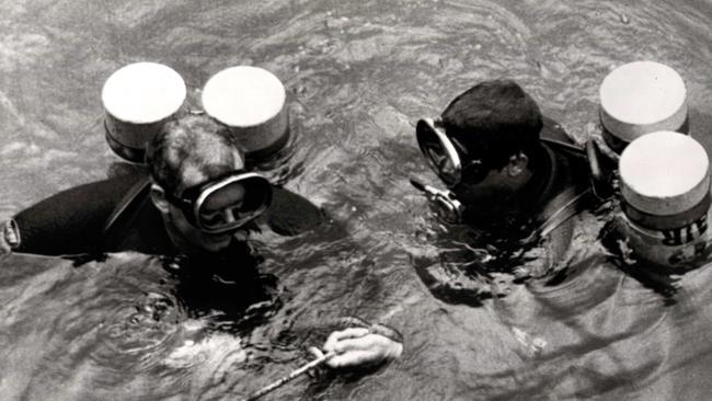 Sydney police skin divers searching Cobaki Creek for clues.