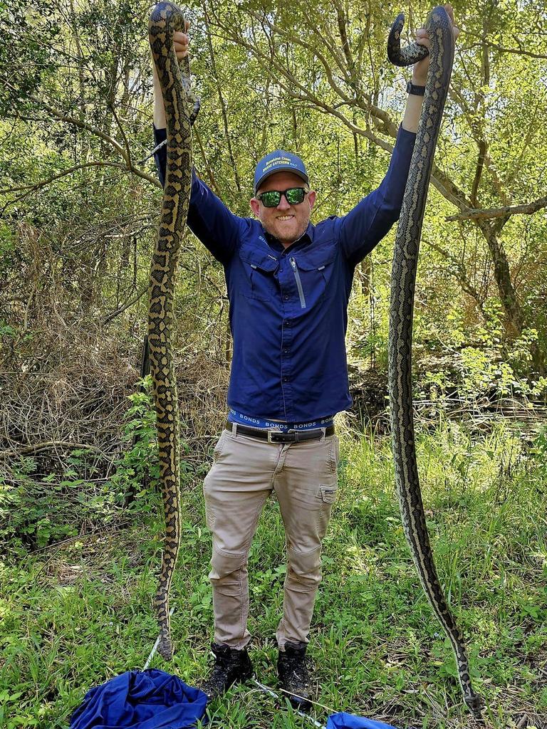 Stu from Sunshine Coast Snake Catchers. Picture: Facebook/Sunshine Coast Snake Catchers 24/7