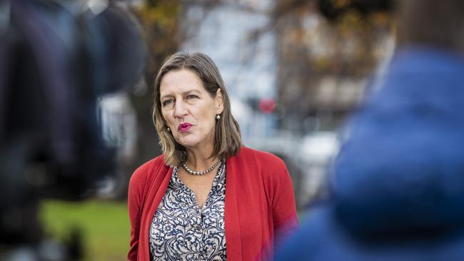 Leader of the Greens Cassy O'Connor, on Parliament Lawns. Picture: Richard Jupe