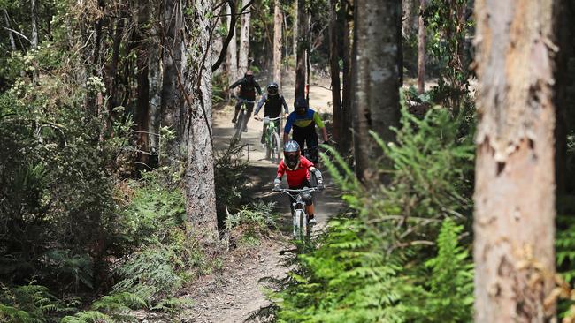 Riders coming down a track at the Maydena Bike Park. Picture: SAM ROSEWARNE.