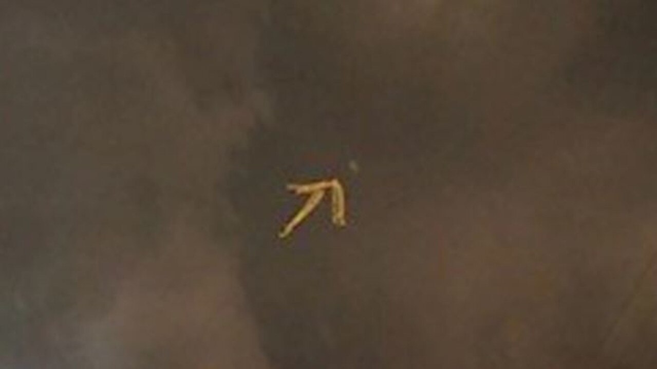 An arrow points to one of the strange objects.