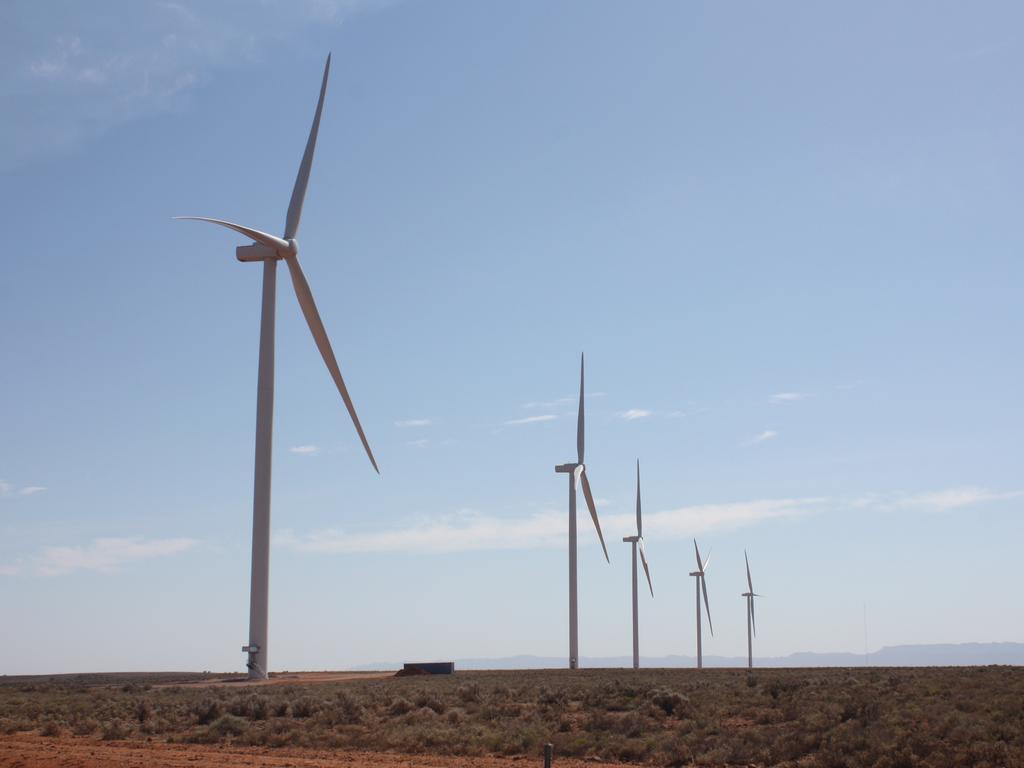 Policy sparks electricity free-for-all
