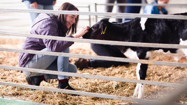 City girl studies at Melbourne University’s Dookie agricultural campus ...