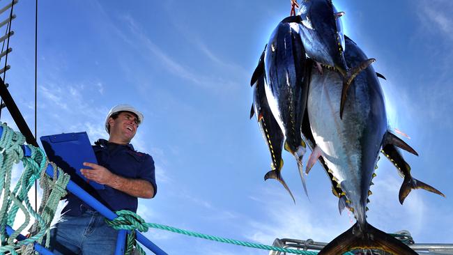 Loading tuna off Port Lincoln.