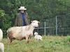 Surprising new addition to Tablelands farm