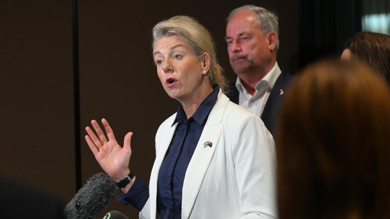 Senator Bridget McKenzie on Wednesday. Picture: Dan Peled/NCA NewsWire