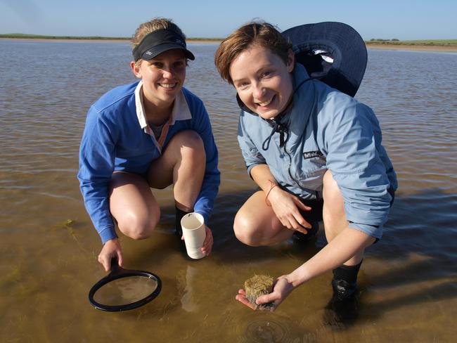 Our watery environments that hold more carbon than trees