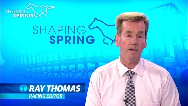 Spring Horse Racing Carnival - Shaping Spring