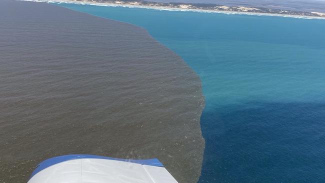 Brown floodwaters meet the milky water of the Coorong and dark-blue Southern Ocean water. Picture: Troy Johnson